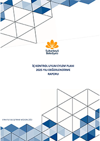 ic-kontrol-eylem-plani